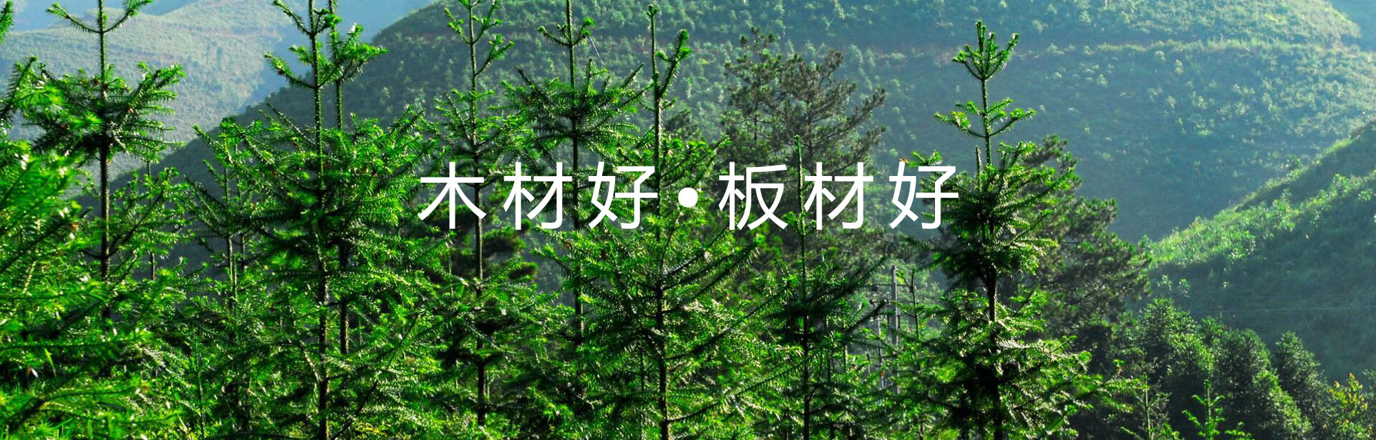 九游会